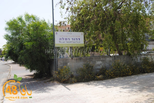 ramla lud jd3 (19).JPG